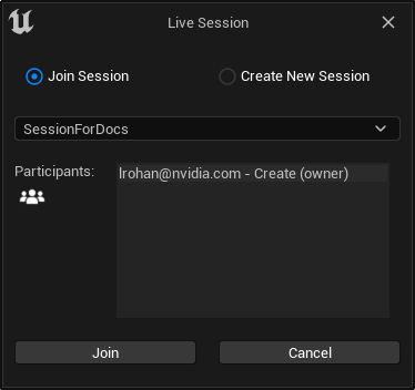 ../_images/connect_ue4_join_session.png