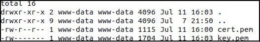 ../_images/ls_al_etc_nginx_certs_output.png