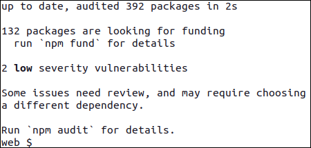 ../_images/npm_install_output.png