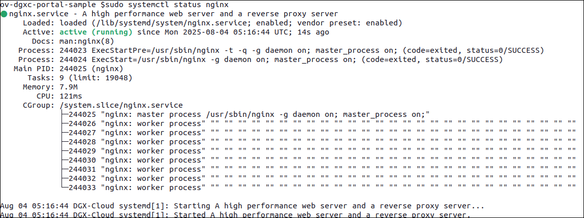 ../_images/validate_nginx.png